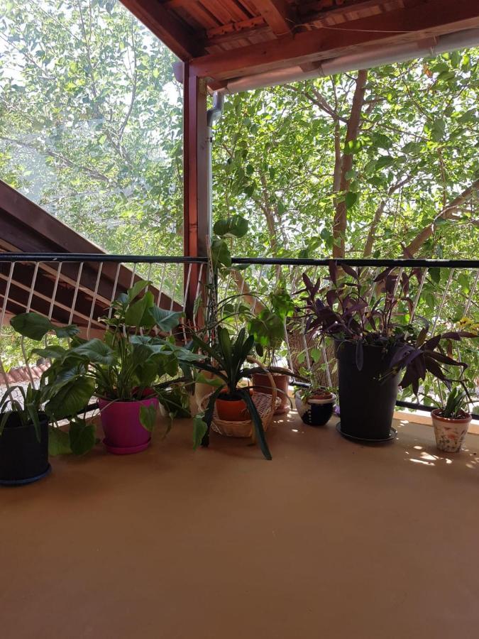 Apartmani Corleone 比利切 外观 照片